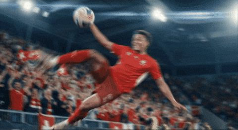 Football Soccer GIF by Herr Fuchs Zurich