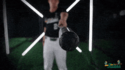 Tulane Rollwave GIF by GreenWave