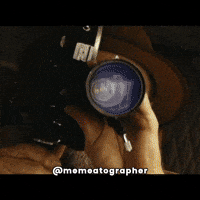 King Kong Hollywood GIF