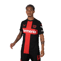 Bayer 04 Football Sticker by Bayer 04 Leverkusen