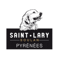 Saint-Lary sport snow winter france Sticker