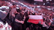 Sport GIF by UFC