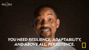 Now Streaming Nat Geo GIF by National Geographic TV