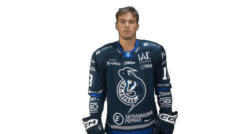 Popradhockey Sticker by HK Poprad