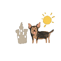 Beach Sun Sticker by Andrea Caceres