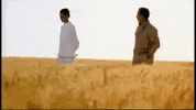 screenchic always audreyhepburn screenchic costumedesign GIF