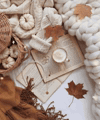 GIF by scoonstore