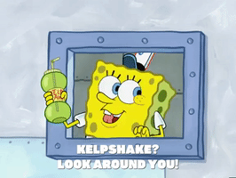 season 4 GIF by SpongeBob SquarePants