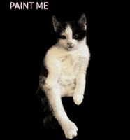 Kitten Love Cat GIF