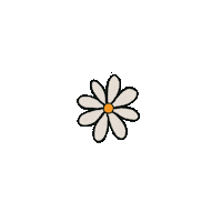 anatrindadestudio flower daisy flor margarida Sticker