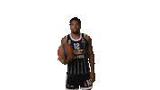 Partizan Sticker by sportmts