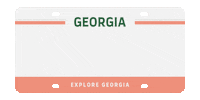 Roadtrip Georgiaonmymind Sticker by Explore Georgia