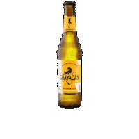 Guayacán Golden Ale Sticker by Cerveza Guayacán