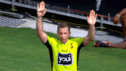 rugby league rlwc GIF by NRL