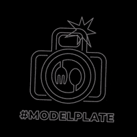 GIF by Model Plate