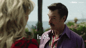 Will Forte GIF by The Roku Channel