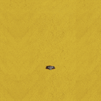Cerveza Carnaval GIF by PilsenerEC