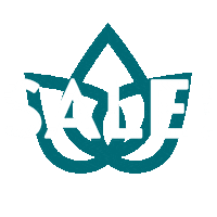 Sale Superfood Sticker by Nature Restore