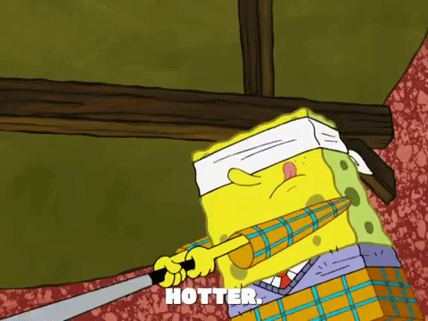 season 8 episode 3 GIF by SpongeBob SquarePants