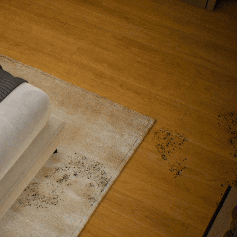 Clean House Home GIF by OpenDroids