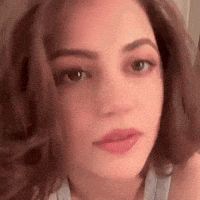 Shorthair GIF