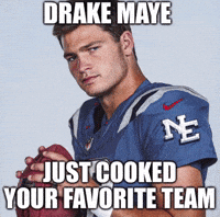 Patriots GIF