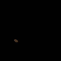 Paodequeijo GIF by Mineiraço Pão de Queijo
