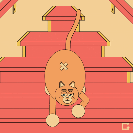 cats stairs GIF by gifnews