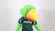 valentines day love GIF by SE Palmeiras