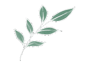 Leaf Leaves Sticker