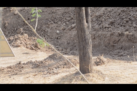 erivancamposconde giphygifmaker GIF