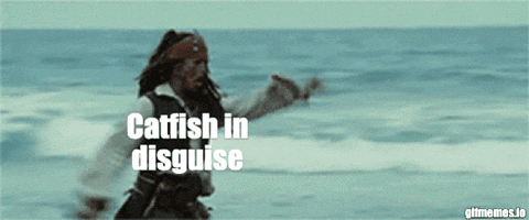 Pirates Of The Caribbean Humor GIF by DEFEND Nonprofit
