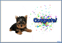 Congrats Animated Card GIF