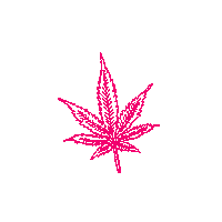 Art Leaf Sticker