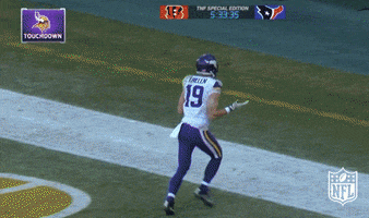 I Guess Minnesota Vikings GIF by NFL