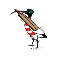 Cricket Ibis Sticker by Newtown Breakaways