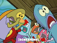 season 4 GIF by SpongeBob SquarePants