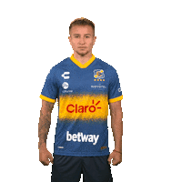 evertonvina everton ruleteros oro y cielo efore Sticker