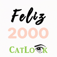 catlookbrowslashes 2022 lashes eyebrows brows GIF