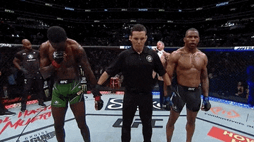 Mixed Martial Arts Fighting GIF by UFC