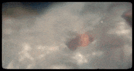 Kids On Molly GIF by Aries