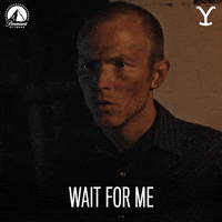 Paramount Network Dont Go GIF by Yellowstone