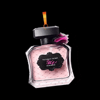 victoriassecretmy vs perfume victorias secret tease GIF