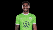 Happy Sport GIF by VfL Wolfsburg