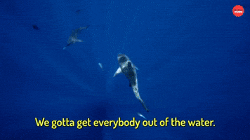Out of the water