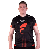 Pointing Fifa20 Sticker by STARK ESPORTS