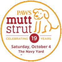 Dogs Strut Sticker by PhillyPAWS