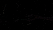 fifty shades of grey GIF