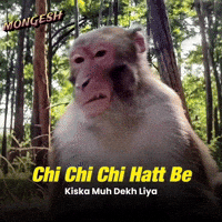 Fun Monkey GIF