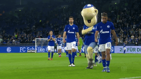 Happy Football GIF by FC Schalke 04